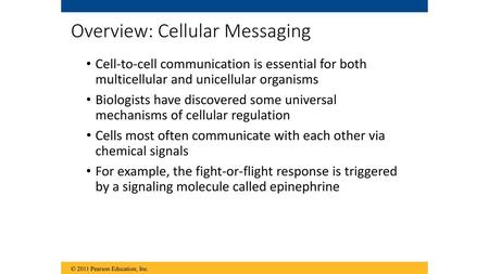 Overview: Cellular Messaging
