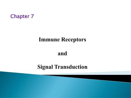 Immune Receptors and Signal Transduction