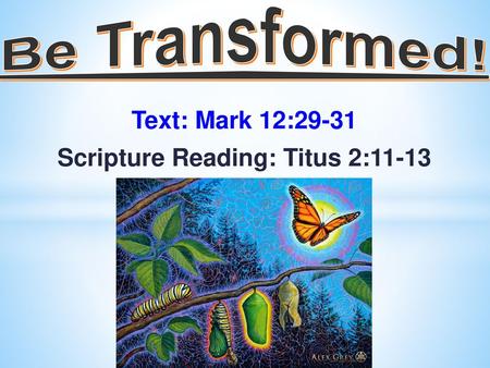 Scripture Reading: Titus 2:11-13