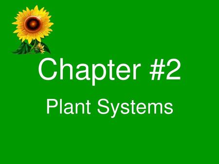 Chapter #2 Plant Systems.