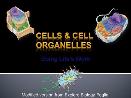 Modified version from Explore Biology-Foglia