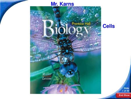 Biology Mr. Karns Biology Cells.