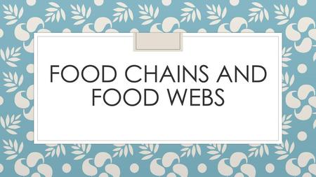 Food chains and Food Webs
