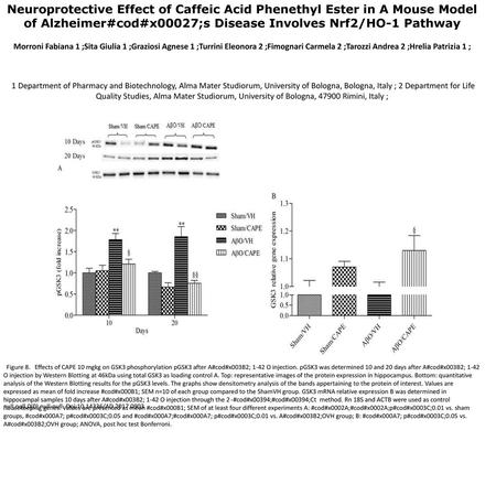 Neuroprotective Effect of Caffeic Acid Phenethyl Ester in A Mouse Model of Alzheimer#cod#x00027;s Disease Involves Nrf2/HO-1 Pathway Morroni Fabiana 1.