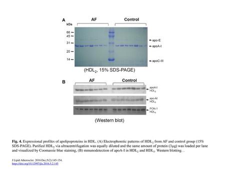 Fig. 4. Expressional profiles of apolipoproteins in HDL