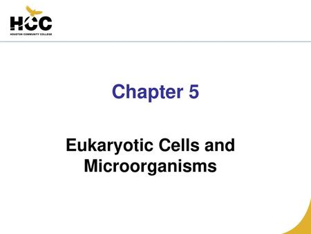 Eukaryotic Cells and Microorganisms