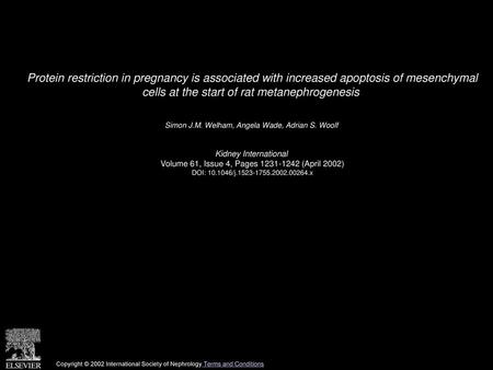 Protein restriction in pregnancy is associated with increased apoptosis of mesenchymal cells at the start of rat metanephrogenesis  Simon J.M. Welham,