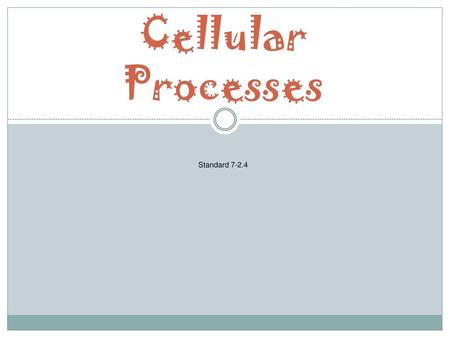 Cellular Processes Standard 7-2.4.