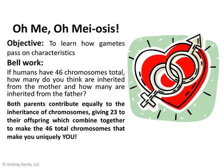 Oh Me, Oh Mei-osis! Objective: To learn how gametes pass on characteristics Bell work: If humans have 46 chromosomes total, how many do you think are inherited.