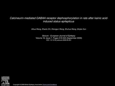 Calcineurin-mediated GABAA receptor dephosphorylation in rats after kainic acid- induced status epilepticus  Aihua Wang, Zhaofu Chi, Shengjun Wang, Shuhua.