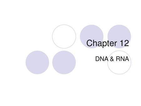 Chapter 12 DNA & RNA.