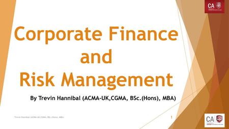 Corporate Finance and Risk Management