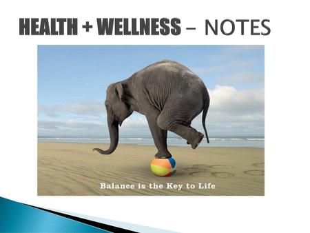 HEALTH + WELLNESS - NOTES
