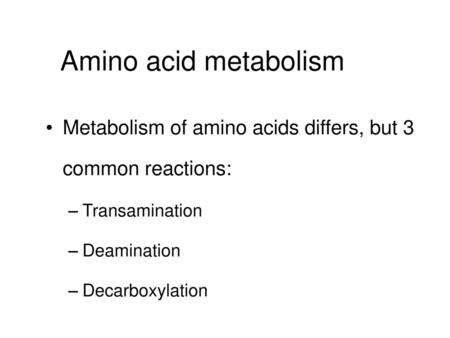 Amino acid metabolism Metabolism of amino acids differs, but 3 common reactions: Transamination Deamination Decarboxylation.