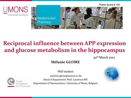 Poster board # 104 Reciprocal influence between APP expression and glucose metabolism in the hippocampus 30th March 2017 Mélanie GLOIRE PhD student melanie.gloire@umons.ac.be.