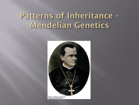 Patterns of Inheritance – Mendelian Genetics