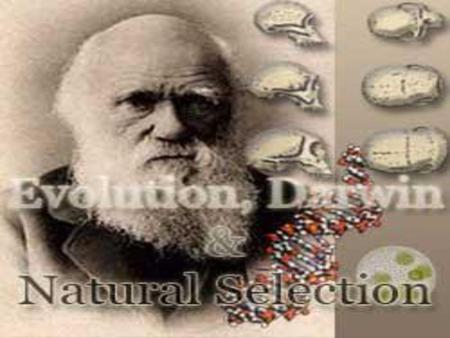 Evolution Evolution –process through which species change over time. The process by which modern organisms (multicellular) have descended from ancient.