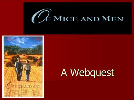 A Webquest.
