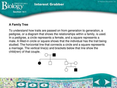 Interest Grabber A Family Tree