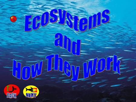 Ecosystems and How They Work BACK NEXT.
