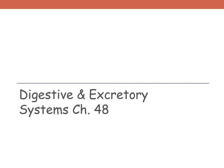 Digestive & Excretory Systems Ch. 48