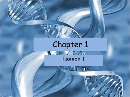Chapter 1 Lesson 1.