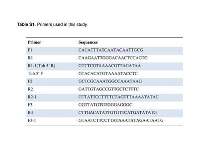 Table S1. Primers used in this study.