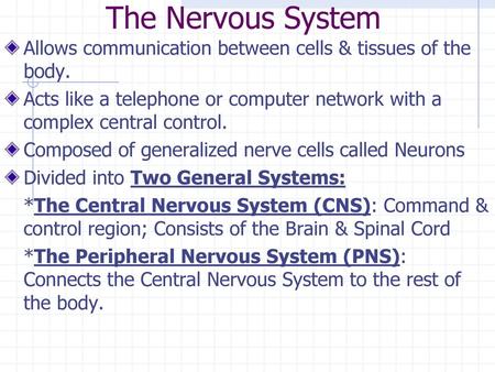 The Nervous System Allows communication between cells & tissues of the body. Acts like a telephone or computer network with a complex central control.
