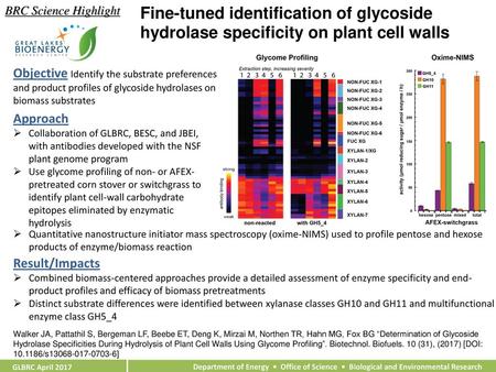 BRC Science Highlight Fine-tuned identification of glycoside hydrolase specificity on plant cell walls Objective Identify the substrate preferences and.