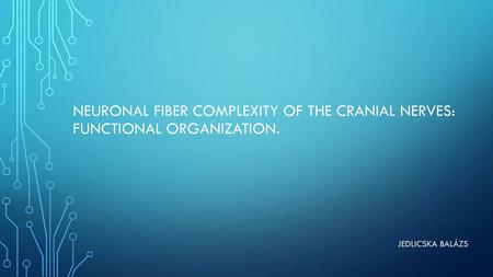 Neuronal fiber complexity of the cranial nerves: functional organization. Jedlicska Balázs.
