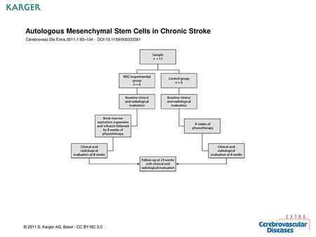 Autologous Mesenchymal Stem Cells in Chronic Stroke