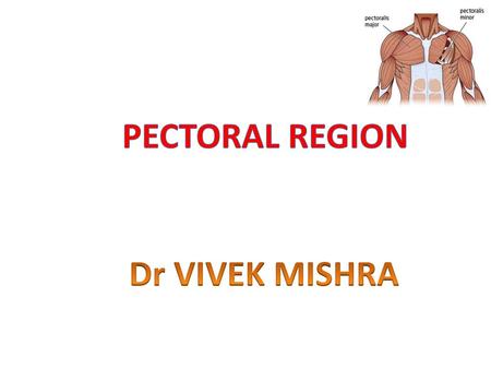 Pectoral region Dr VIVEK MISHRA.