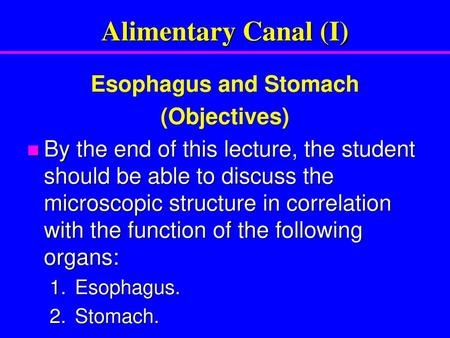 Alimentary Canal (I) Esophagus and Stomach (Objectives)