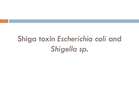 Shiga toxin Escherichia coli and Shigella sp.
