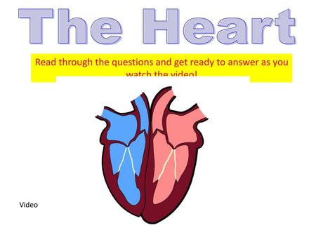 The Heart Read through the questions and get ready to answer as you watch the video! Video.