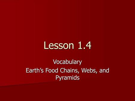 Vocabulary Earth’s Food Chains, Webs, and Pyramids