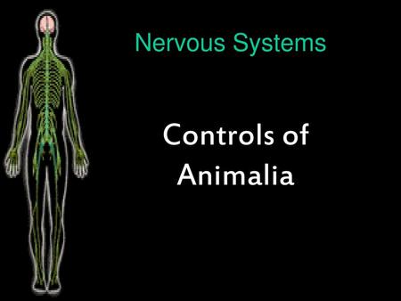 Nervous Systems Controls of Animalia.