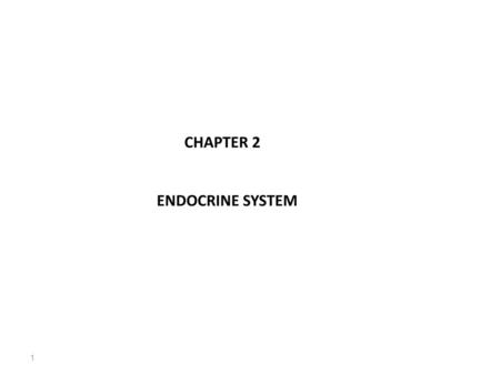CHAPTER 2 ENDOCRINE SYSTEM.