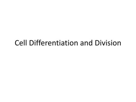 Cell Differentiation and Division