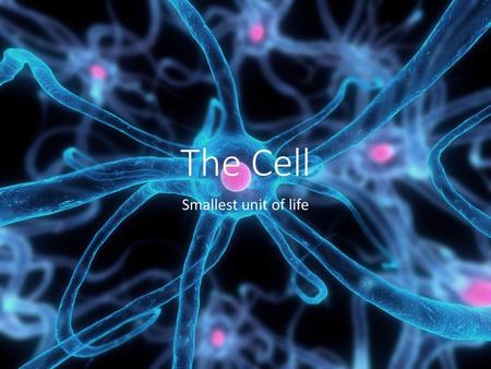 The Cell Smallest unit of life.