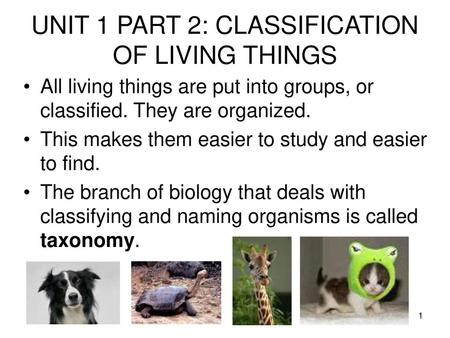 UNIT 1 PART 2: CLASSIFICATION OF LIVING THINGS