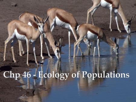 Chp 46 - Ecology of Populations