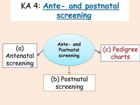 KA 4: Ante- and postnatal screening