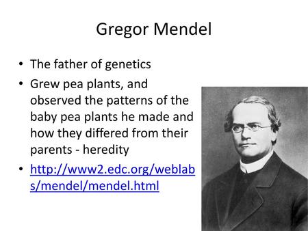 Gregor Mendel The father of genetics