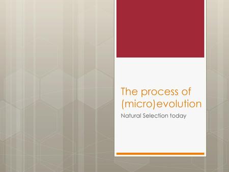 The process of (micro)evolution
