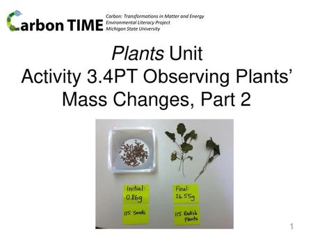 Plants Unit Activity 3.4PT Observing Plants’ Mass Changes, Part 2