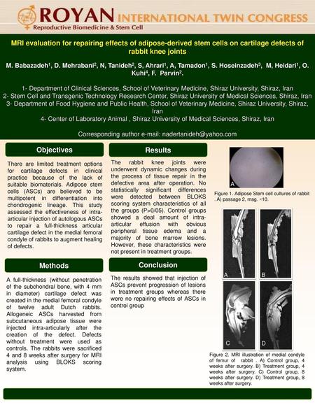 Corresponding author e-mail: nadertanideh@yahoo.com MRI evaluation for repairing effects of adipose-derived stem cells on cartilage defects of rabbit knee.