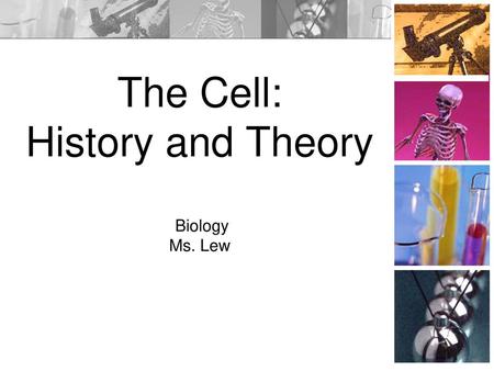 The Cell: History and Theory Biology Ms. Lew