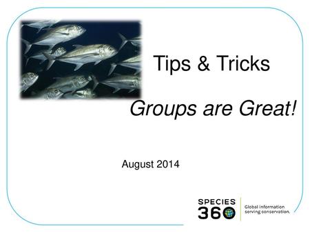 Tips & Tricks Groups are Great!