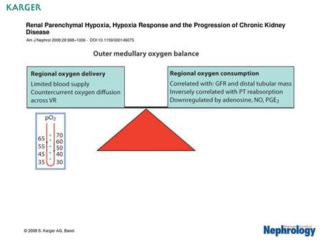 Renal Parenchymal Hypoxia, Hypoxia Response and the Progression of Chronic Kidney Disease Am J Nephrol 2008;28:998–1006 - DOI:10.1159/000146075 © 2008.